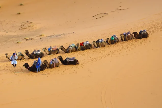 Tour de 5 días desde Marrakech al desierto